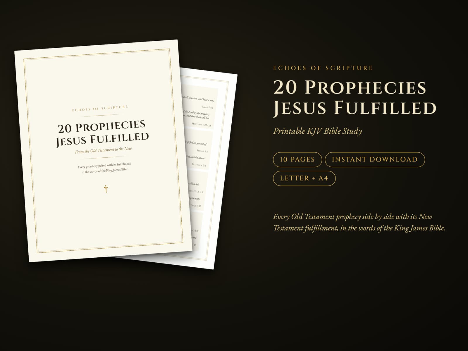 The cover of 20 Prophecies Jesus Fulfilled, with a page of prophecy cards behind it