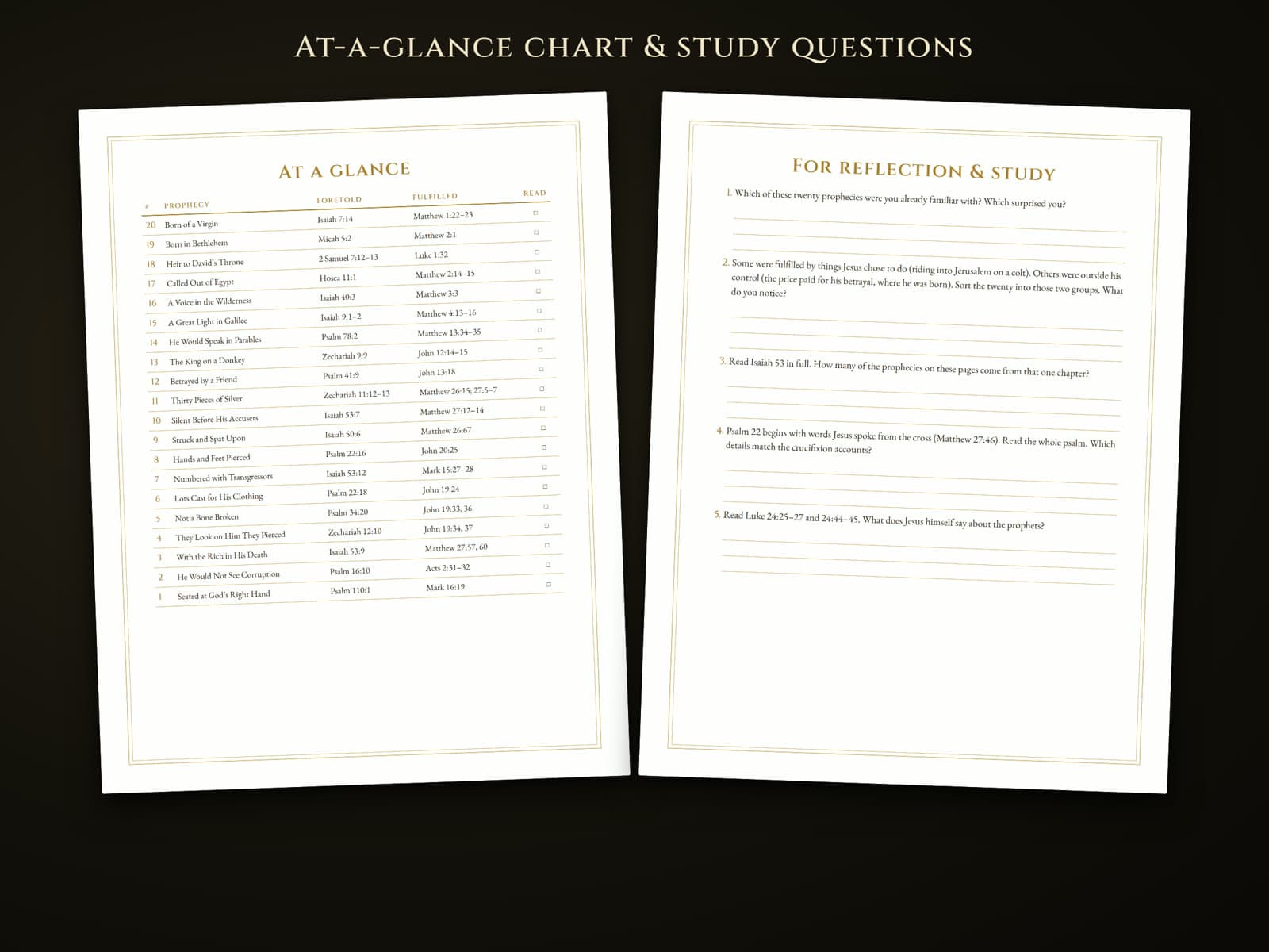The at-a-glance chart and the reflection and study questions pages