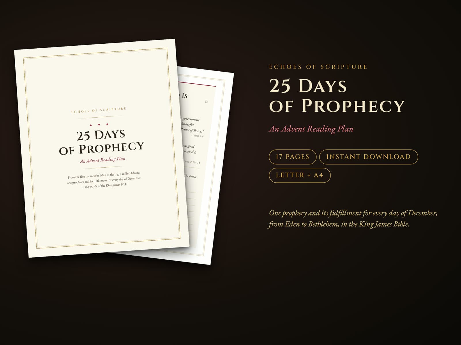 The cover of 25 Days of Prophecy, an Advent reading plan, with the Christmas Day page behind it