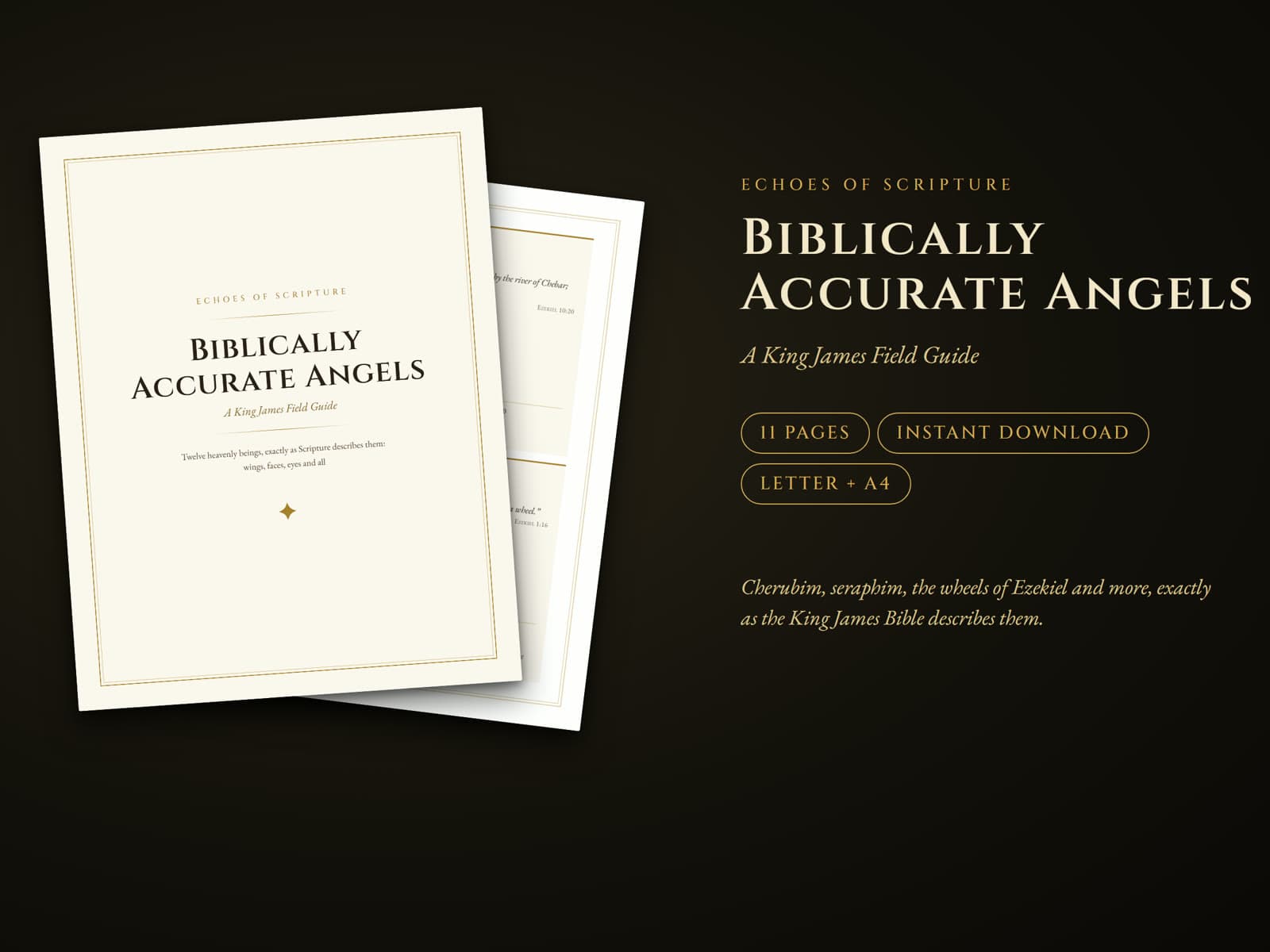 The cover of Biblically Accurate Angels, a King James field guide, with an entry page behind it