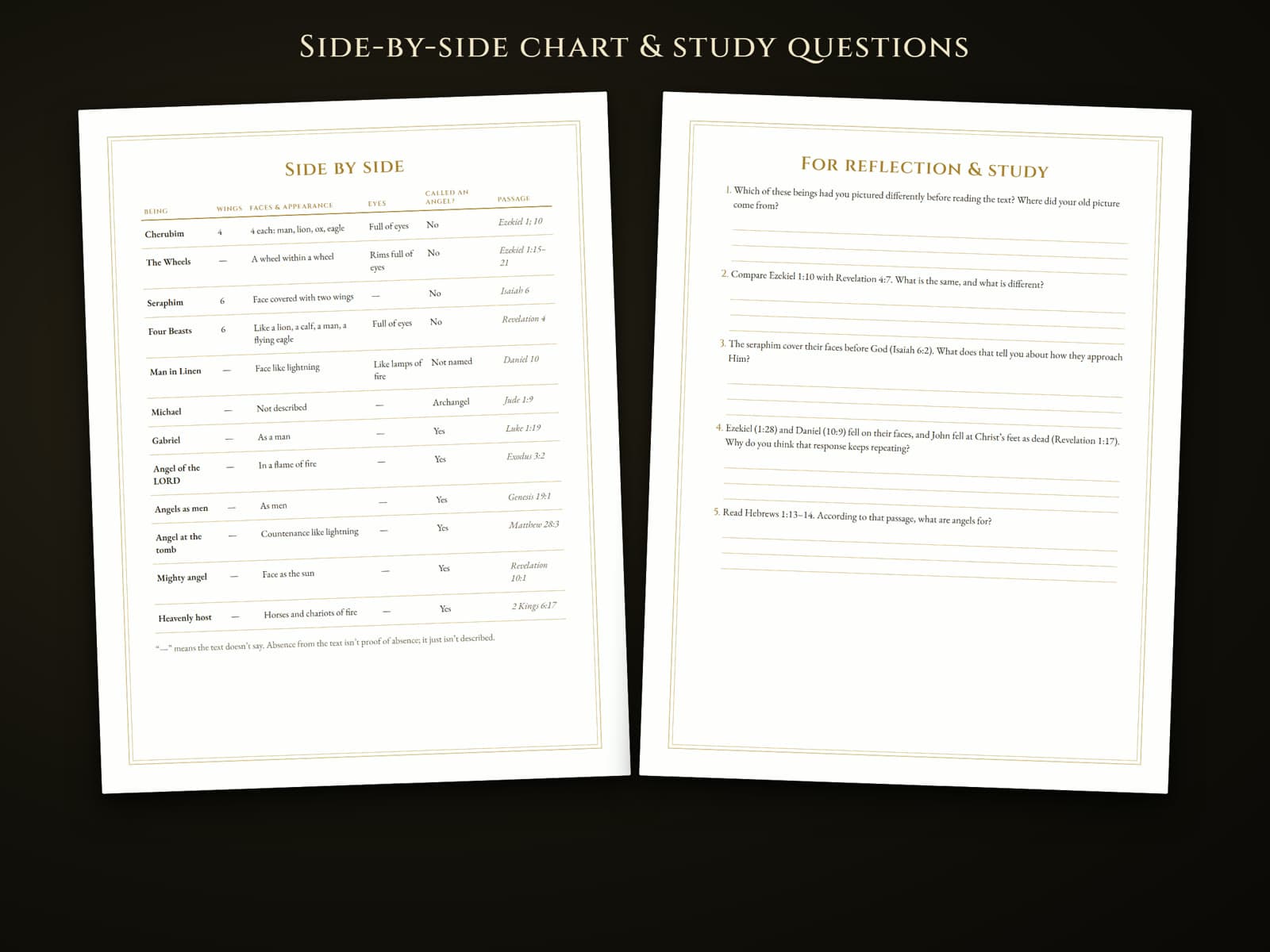 The side-by-side comparison chart and the reflection and study questions pages